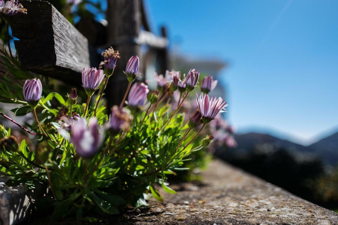 Apartmán Casa Floriana Vico Equense Exteriér fotografie